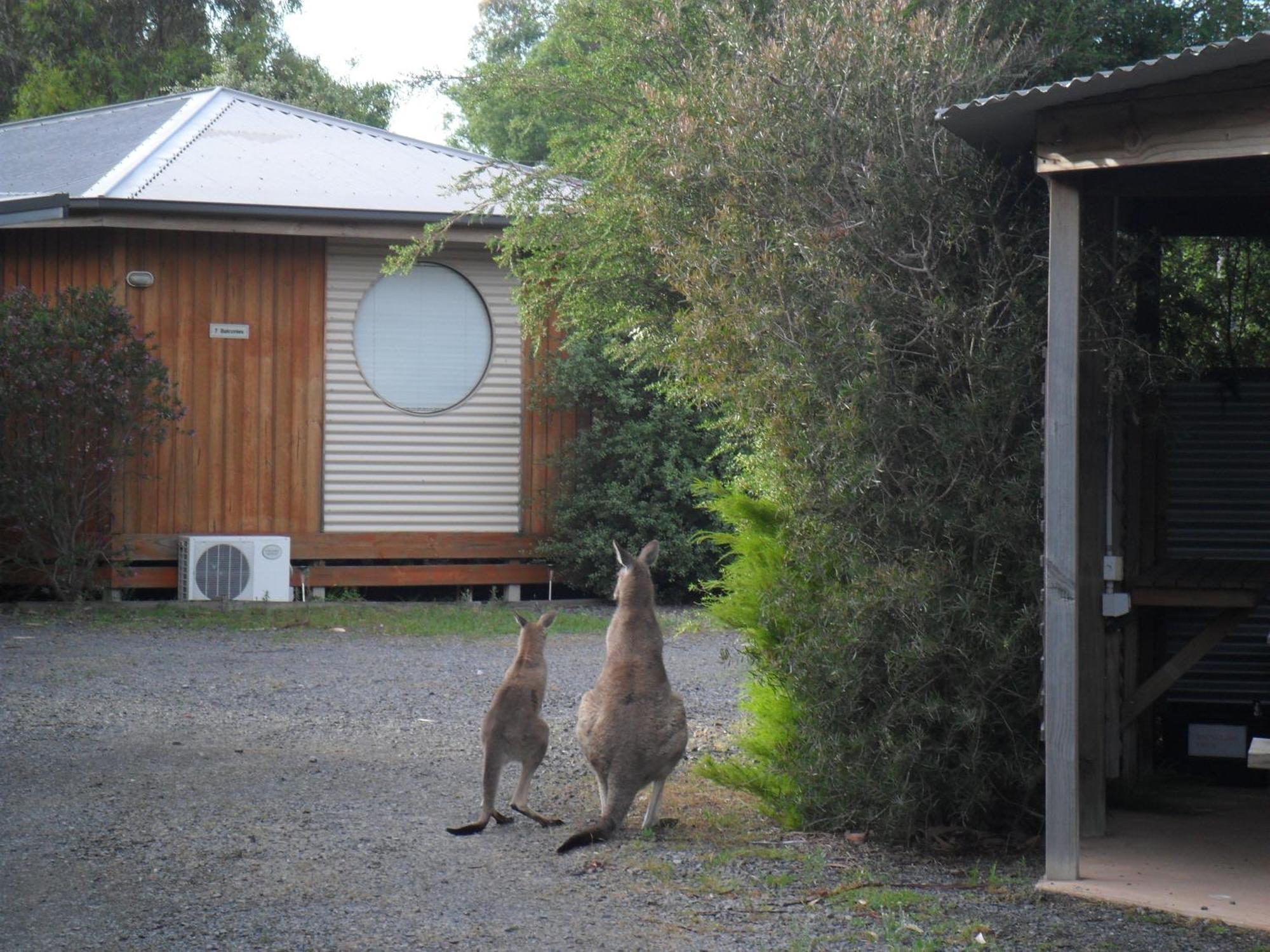 Grampians Chalets Halls Gap Zewnętrze zdjęcie
