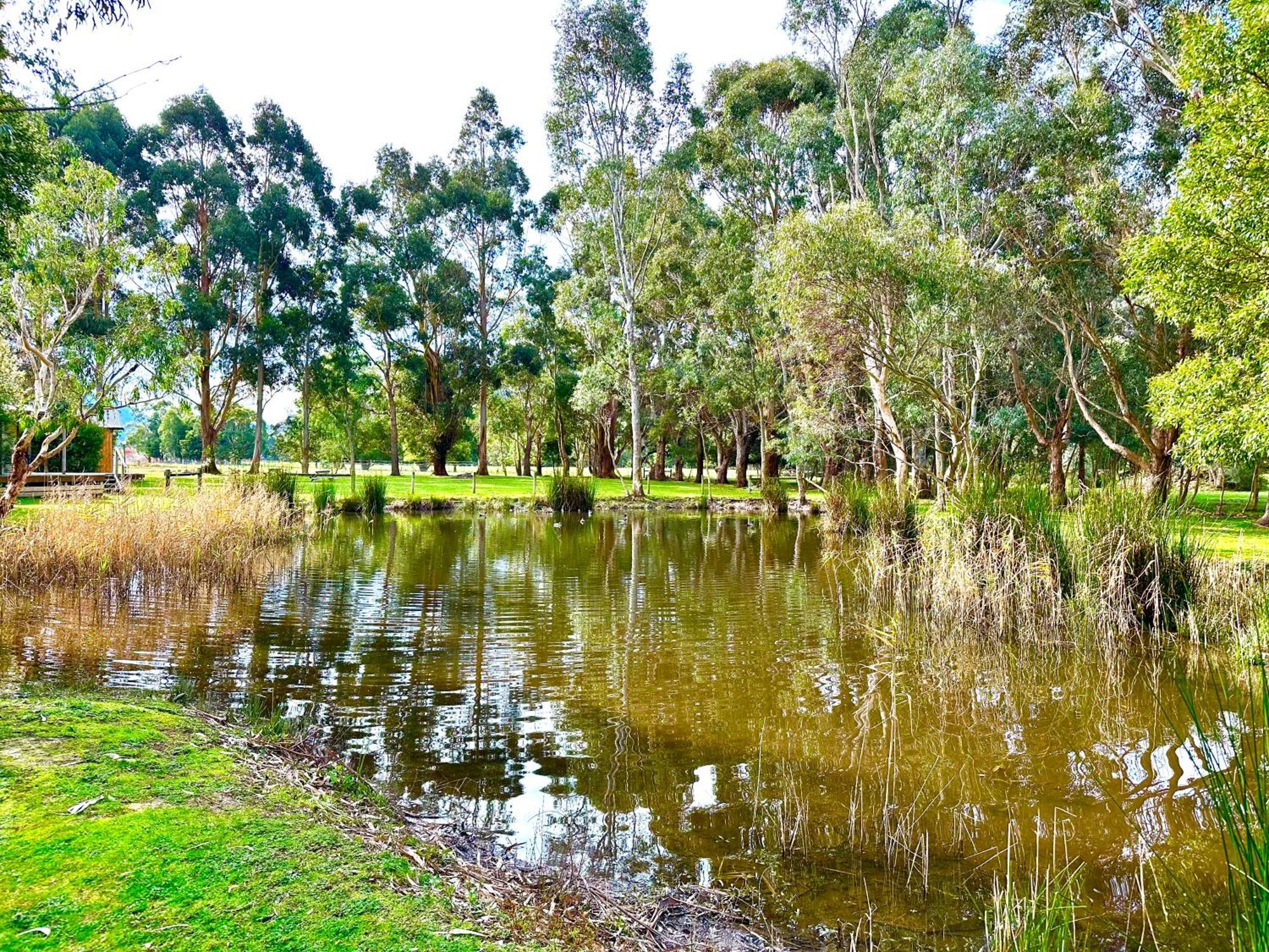 Grampians Chalets Halls Gap Zewnętrze zdjęcie