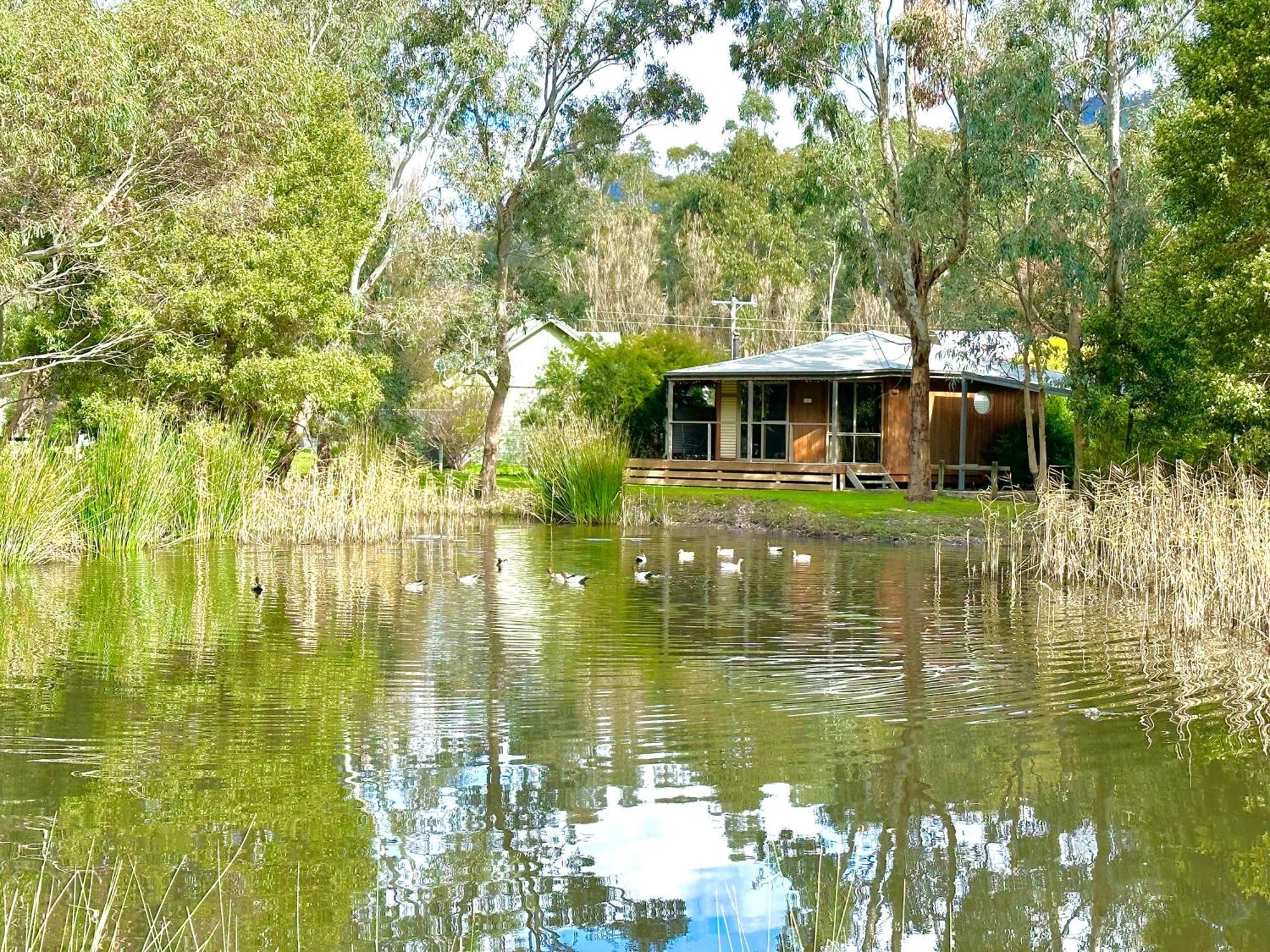 Grampians Chalets Halls Gap Zewnętrze zdjęcie