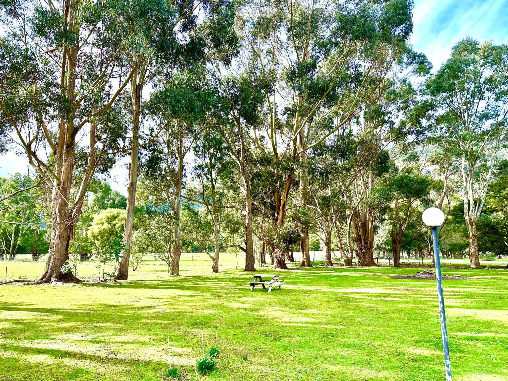 Grampians Chalets Halls Gap Zewnętrze zdjęcie